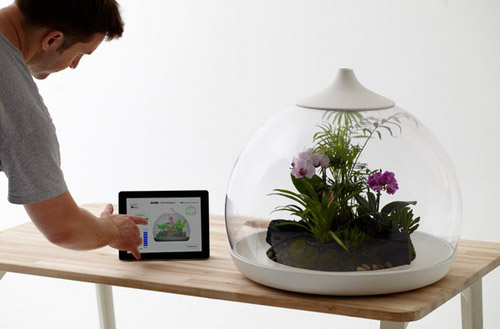 ekosistemoj biome smart terrarium upravljaet ipad Экосистемой Biome Smart Terrarium управляет iPad